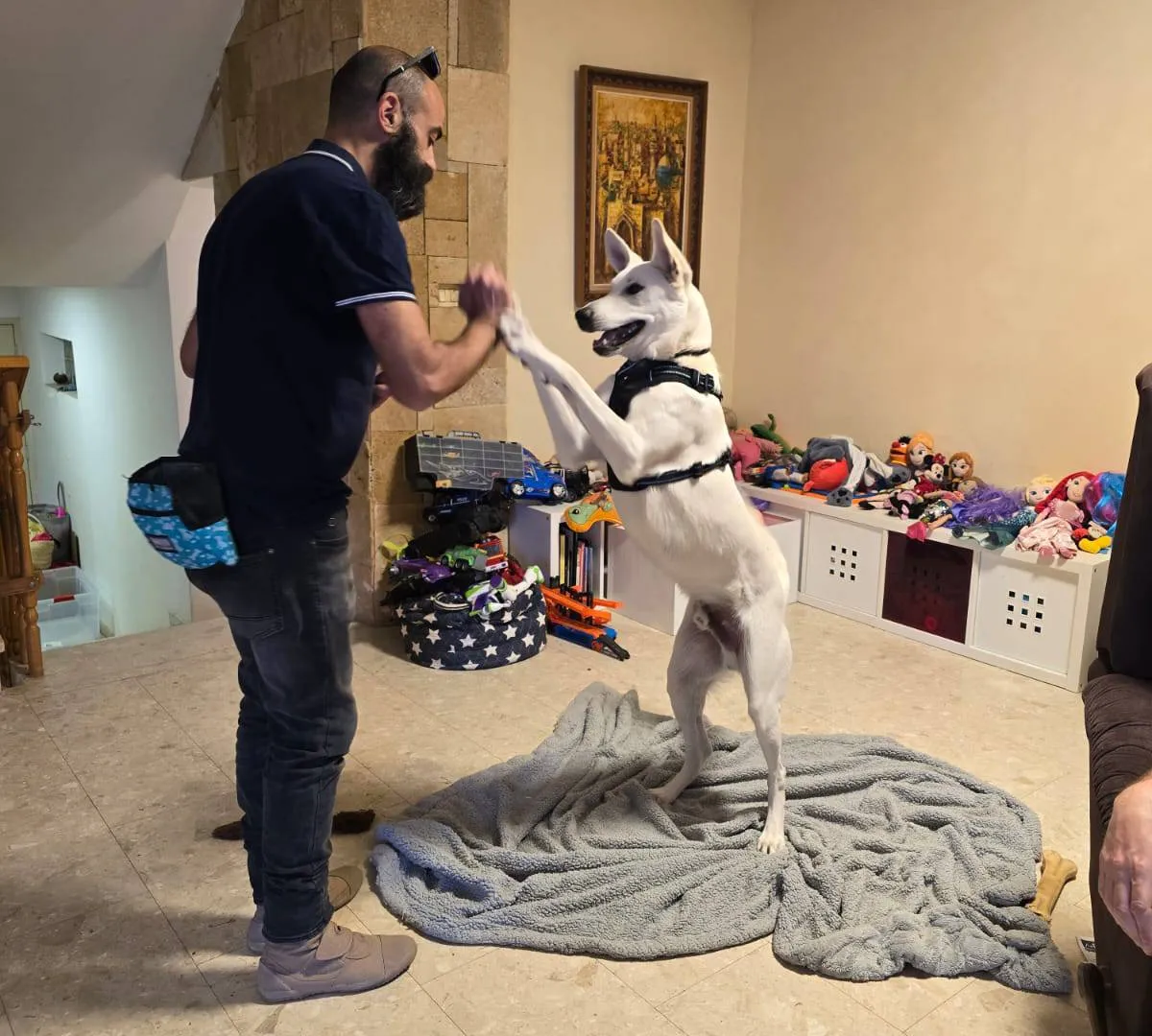 הקשר בין אדם לכלב, שפה וגישה